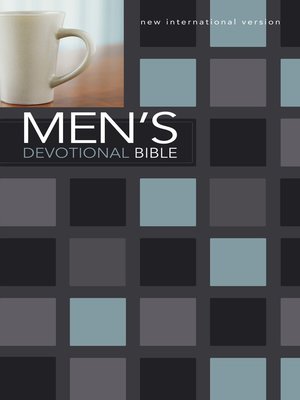cover image of NIV Men's Devotional Bible